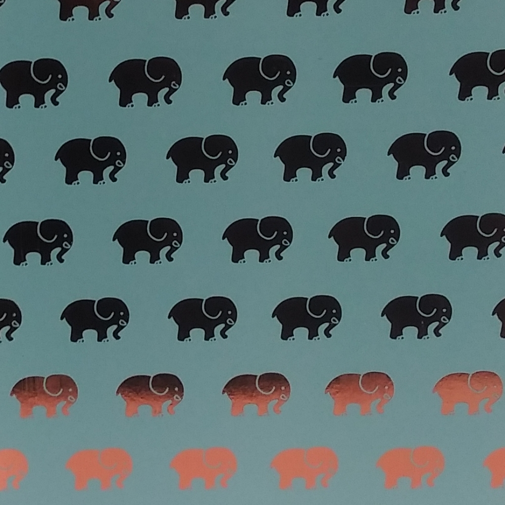 Meet your Posher, Elizabeth